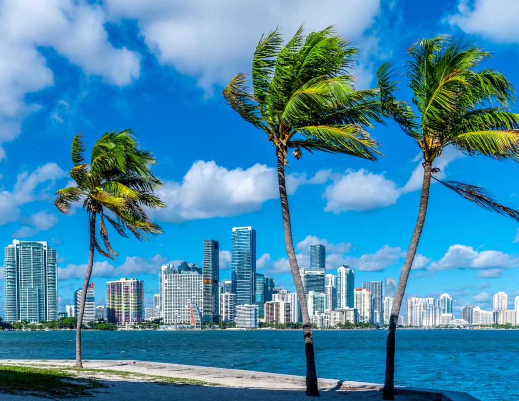 miami-florida-charles-aris-website